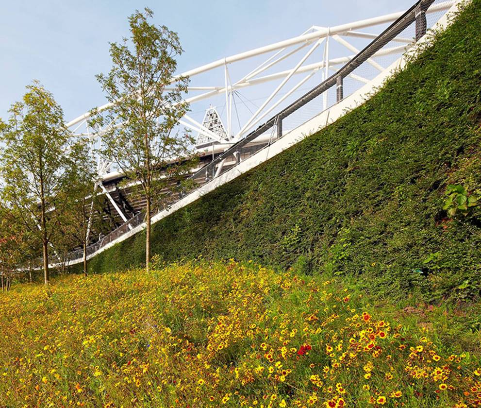 sustainability at the Olympic Stadium