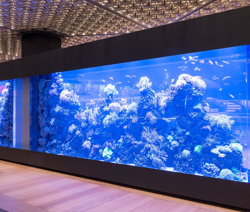 Interior fish tank 