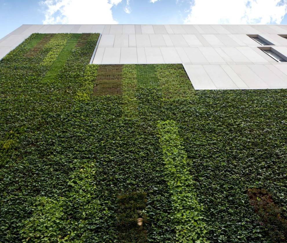The Core green wall