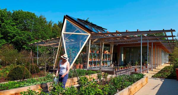 Garden view of Maggie’s Manchester, with lush greenery