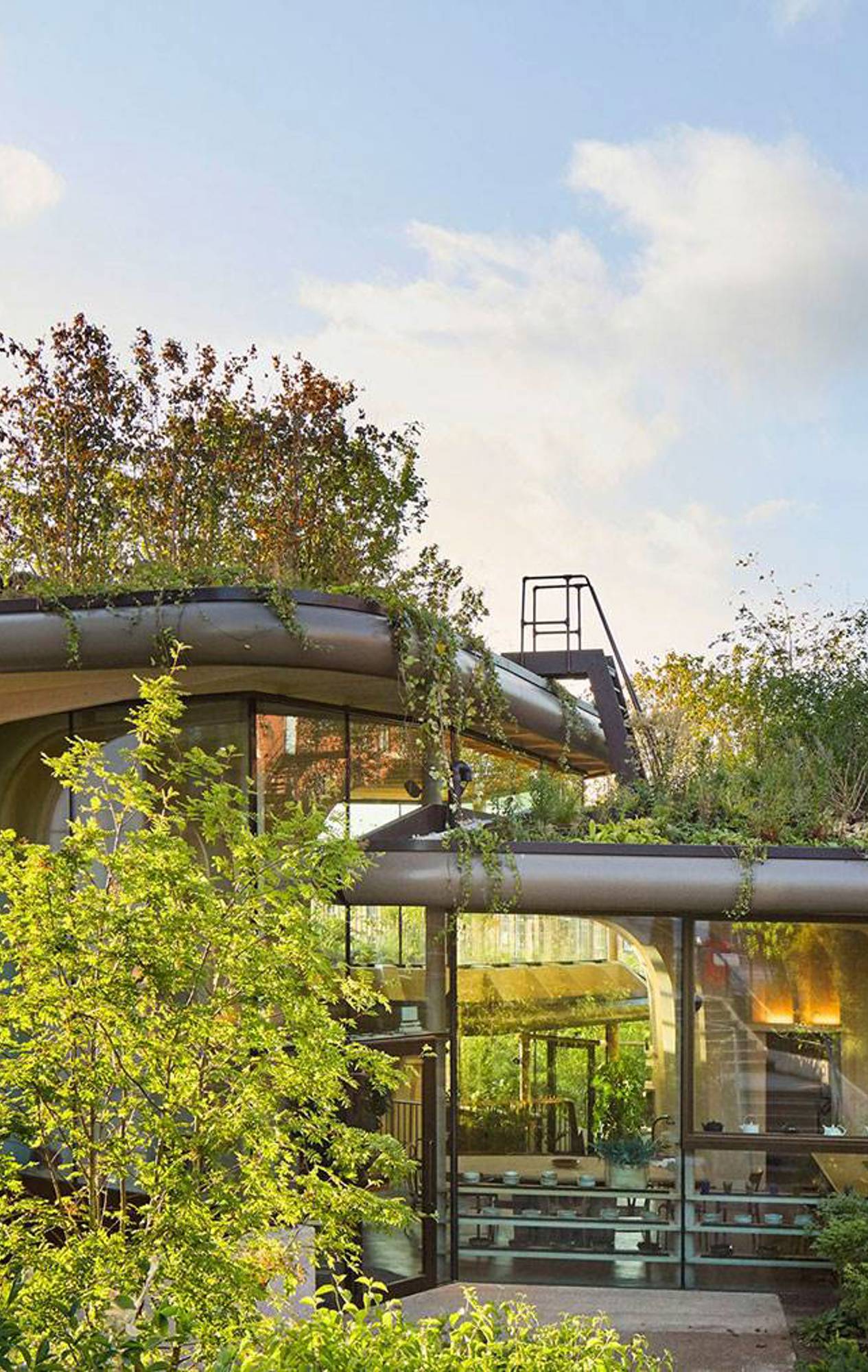 Detail of the seamless interfaces between the walls and soffits inside Maggie’s Yorkshire